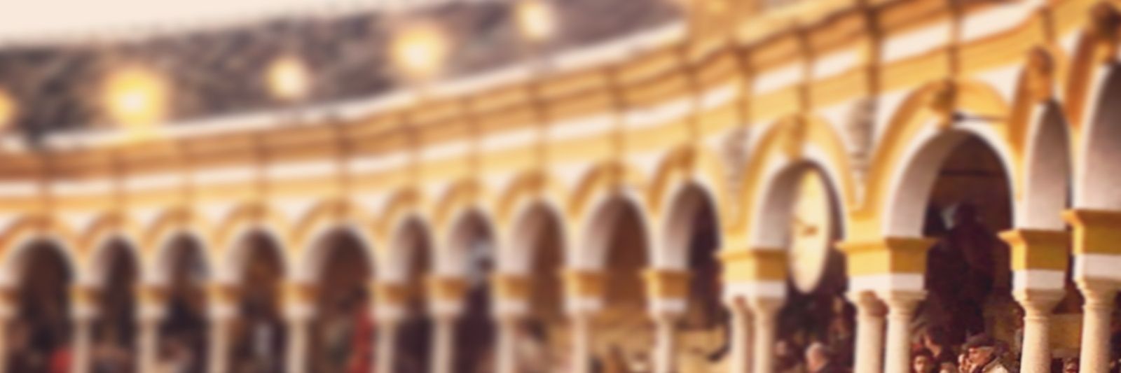 rachelhola's profile banner image