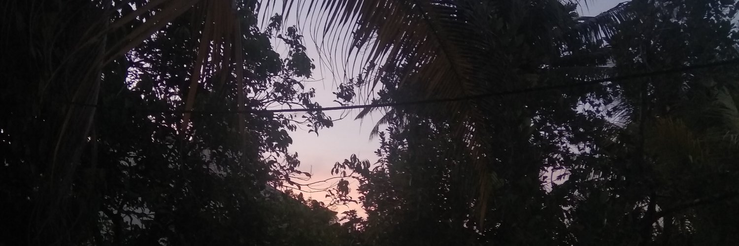 Hanwhere_'s profile banner image