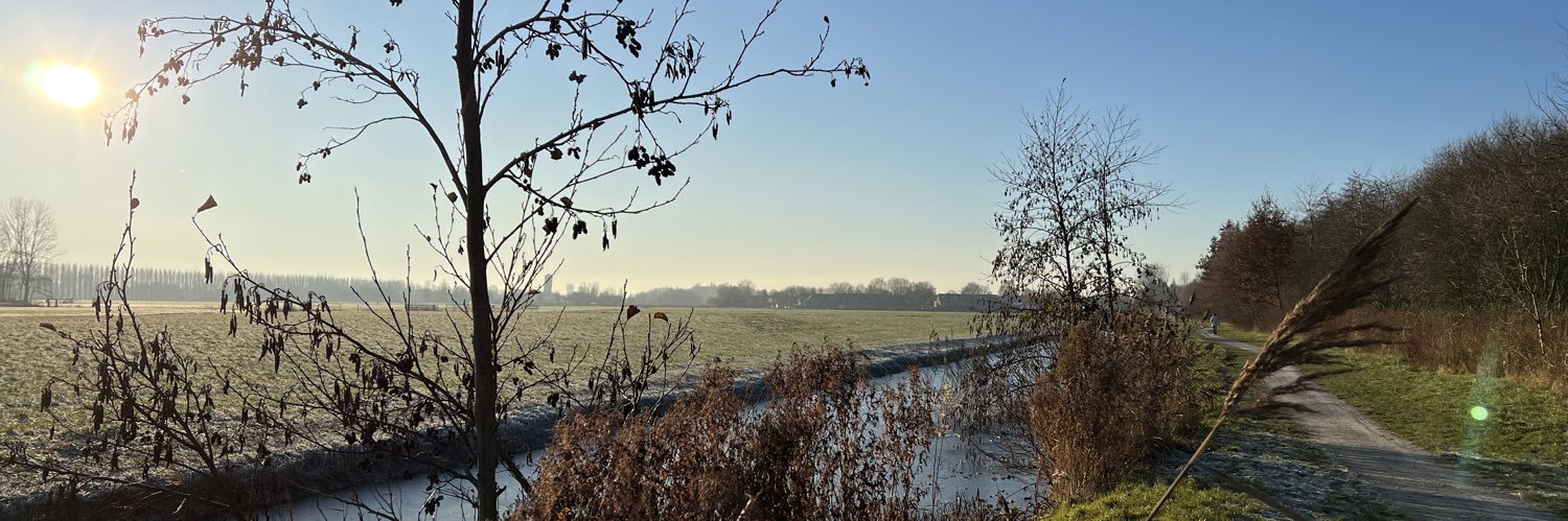 MartinGrasdijk's profile banner image