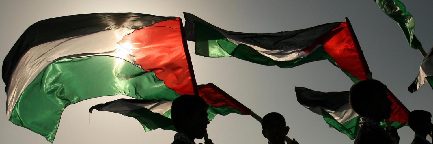 🇵🇸 banner