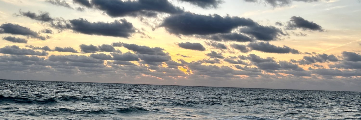 jac_witt's profile banner image