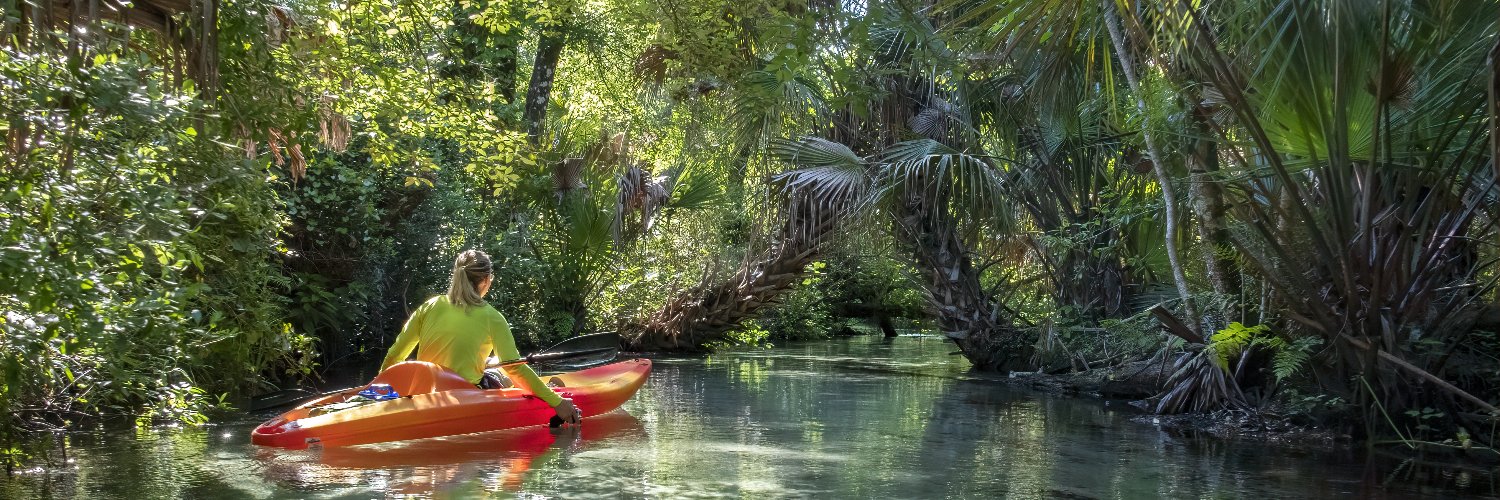 National Forests in FL banner