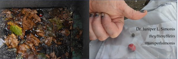 DapperStats Profile Banner