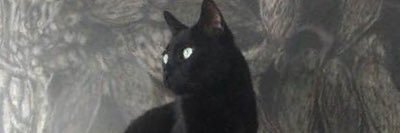 shahba2020's profile banner image