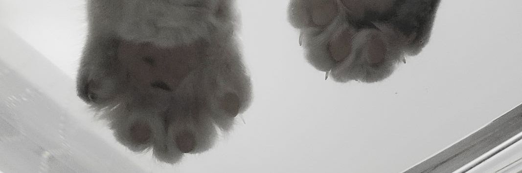 yato_min's profile banner image