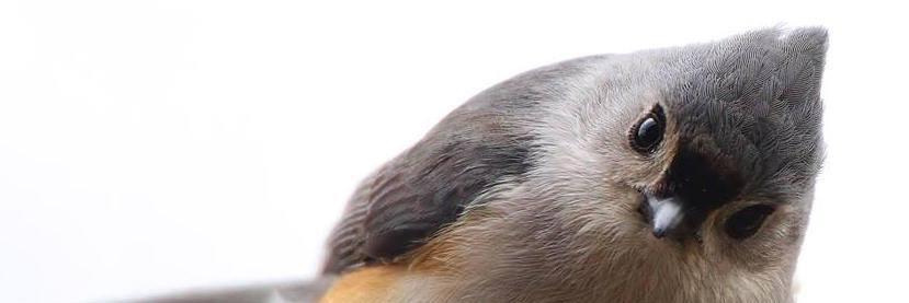 Meeshm66's profile banner image