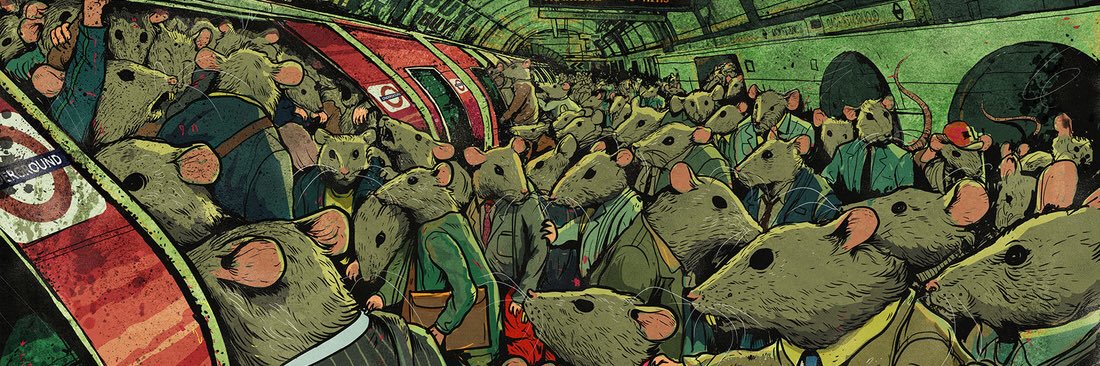 luandavelli's profile banner image