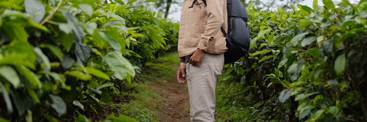sakemohe_'s profile banner image