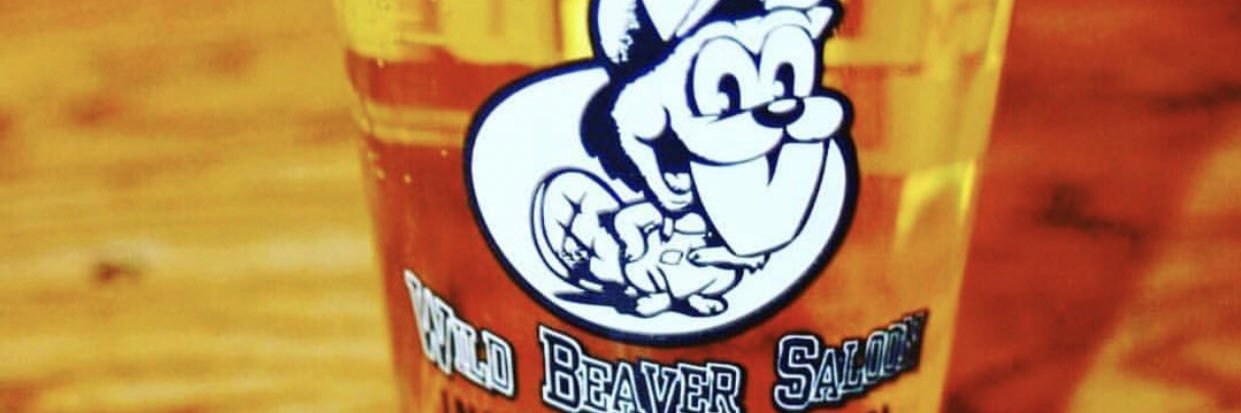 WildBeaver's profile banner image