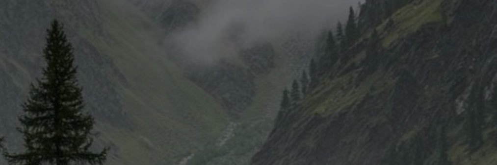 H_al3reefi's profile banner image