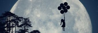 Fregatt banner