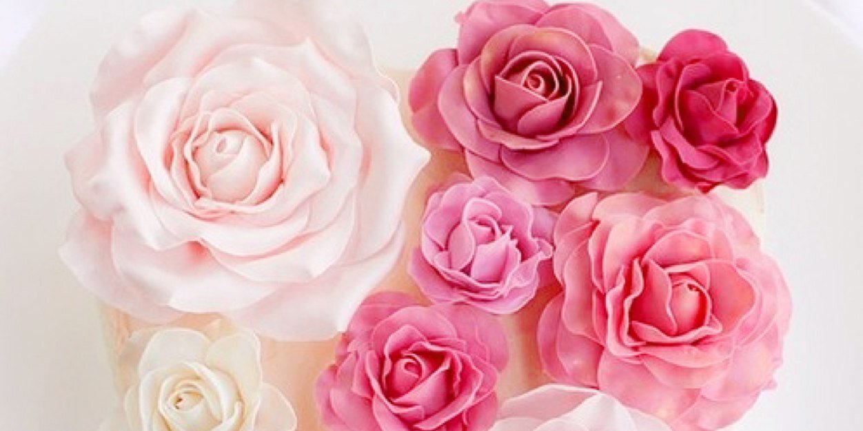 qaw1401's profile banner image