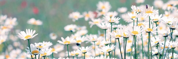 JordanTidwell13's profile banner image