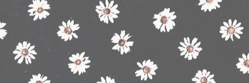 lisapoxon's profile banner image