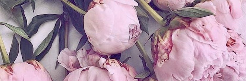 soniazina's profile banner image