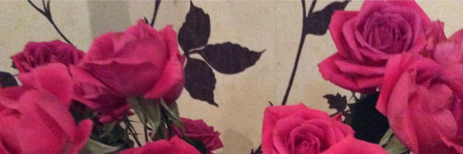 YNz397's profile banner image