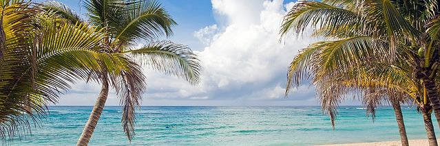 Jatrice M Gaiter banner