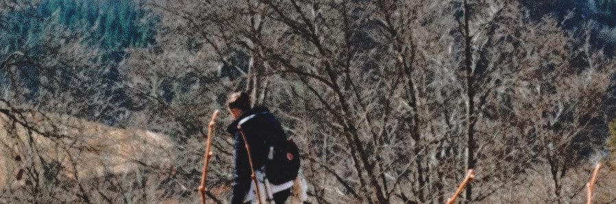 Jessys_views's profile banner image