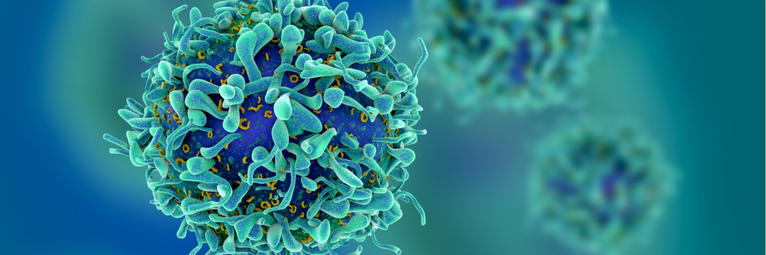 RXiPharma's profile banner image