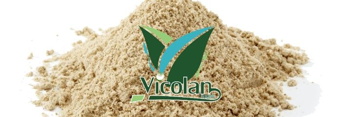 Vicolan_Foods's profile banner image