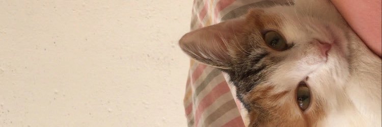 m1zzza's profile banner image