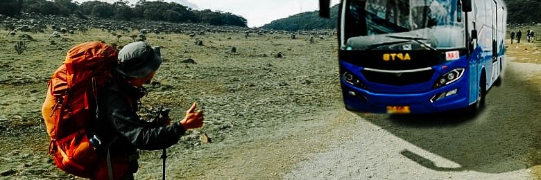 opiwalker's profile banner image