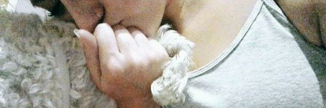 PaulaNovillo10's profile banner image