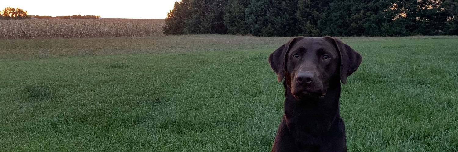 pollmanshelby's profile banner image