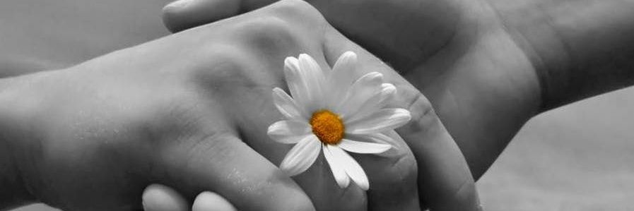 Anthi1_8's profile banner image