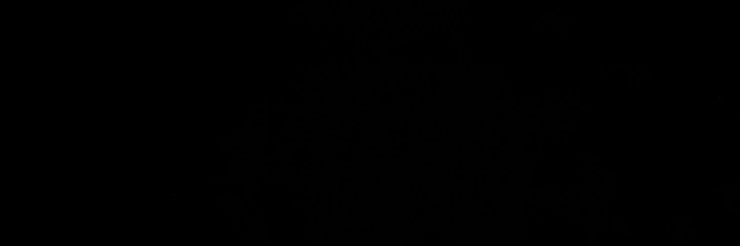 shlayaimani's profile banner image