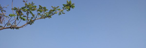 Cindererelala Profile Banner