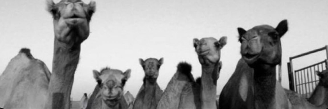 erwwr0's profile banner image