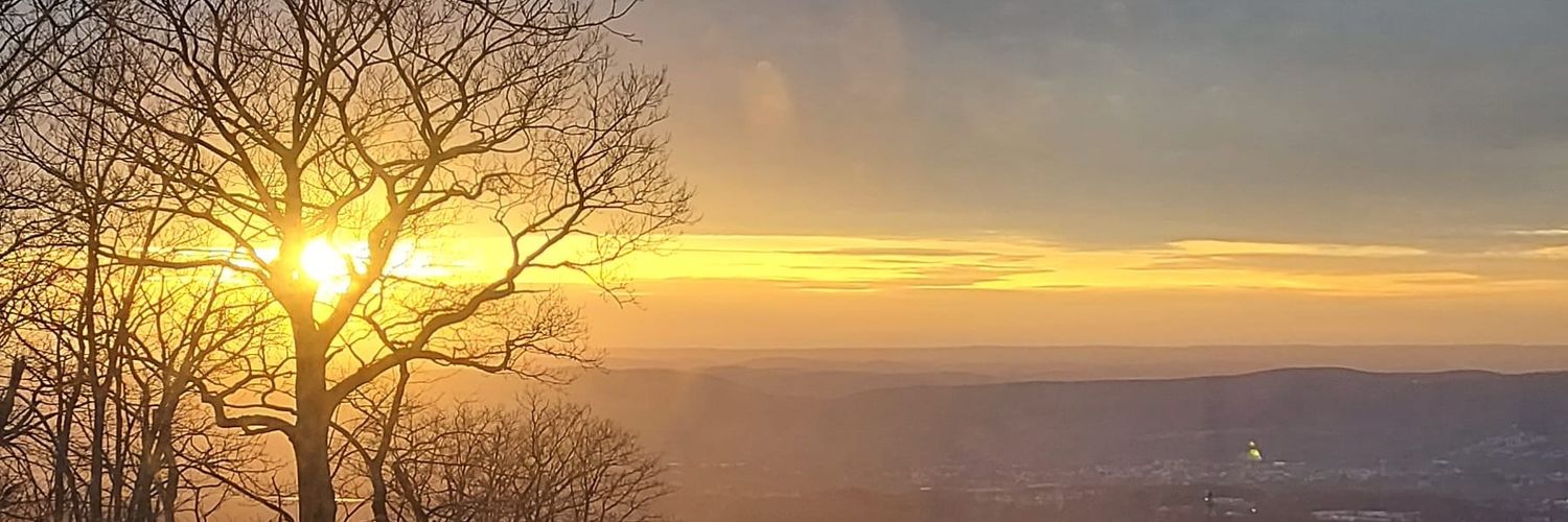 Colette_pa's profile banner image