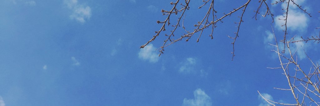 Christinehdl's profile banner image