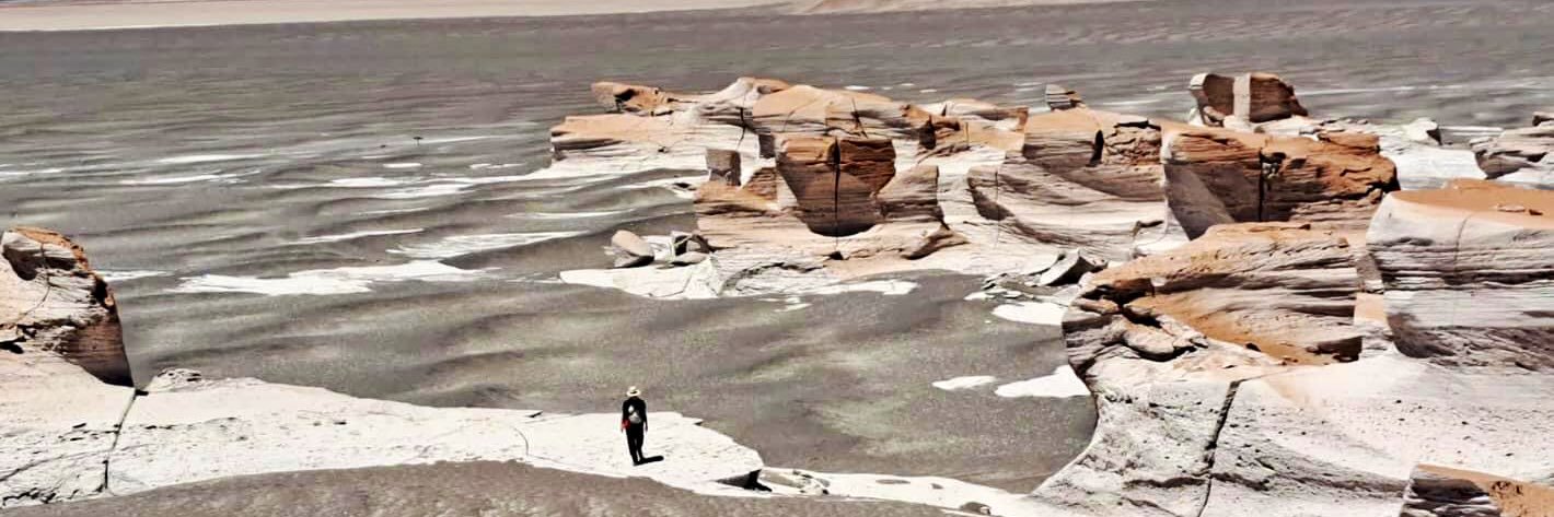 Ilse Cougé 🇪🇺 banner