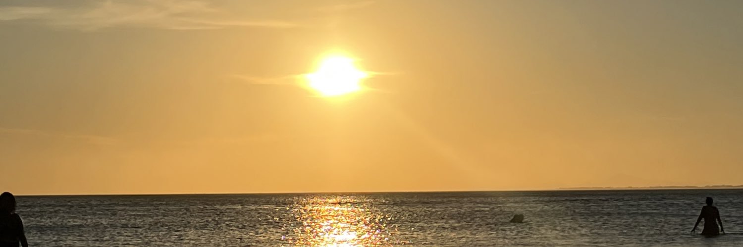 beeallvess1's profile banner image