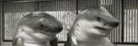 ESKIMO_LM's profile banner image