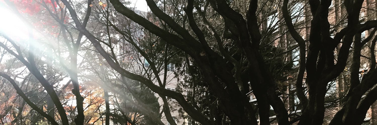 Neekolln's profile banner image