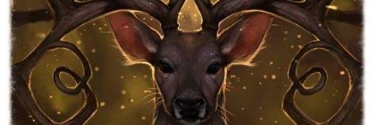 sallyblack71's profile banner image
