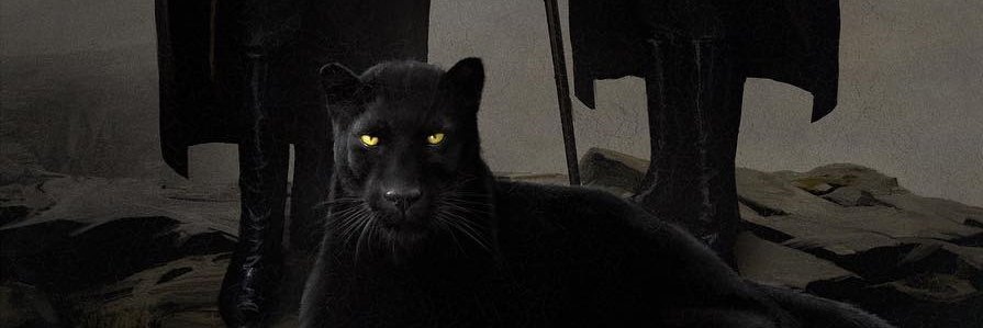 7Merengues's profile banner image