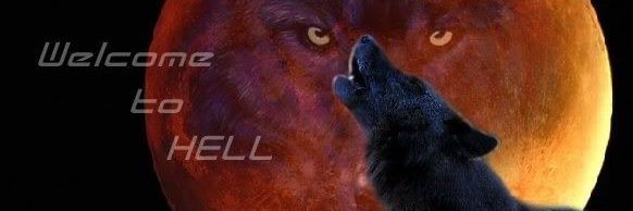 robertmedeiro17's profile banner image