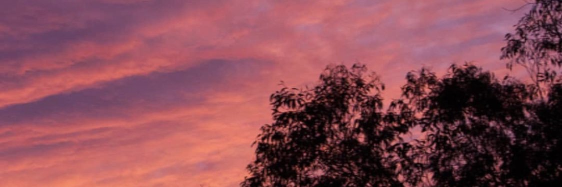 sdod96's profile banner image