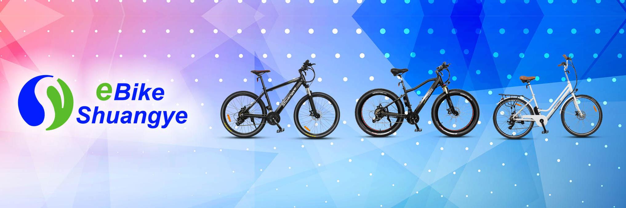 Shuangye Electric bike banner