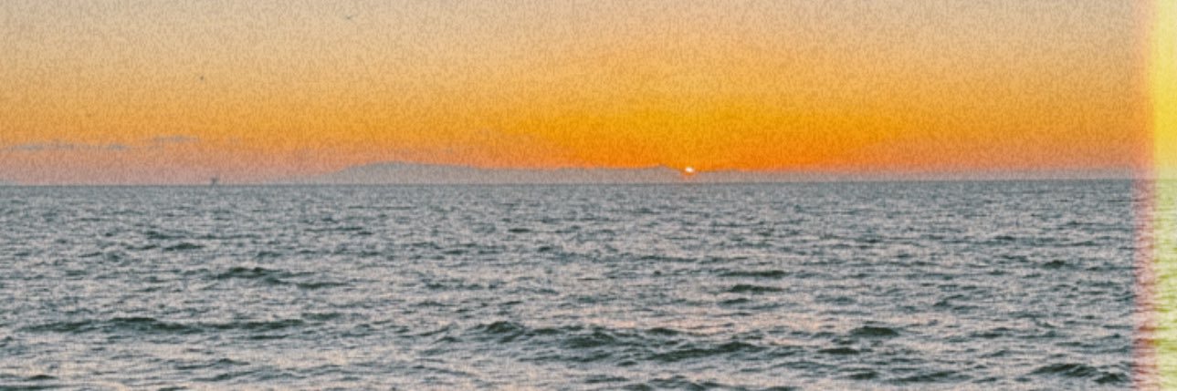 floreeskatee's profile banner image