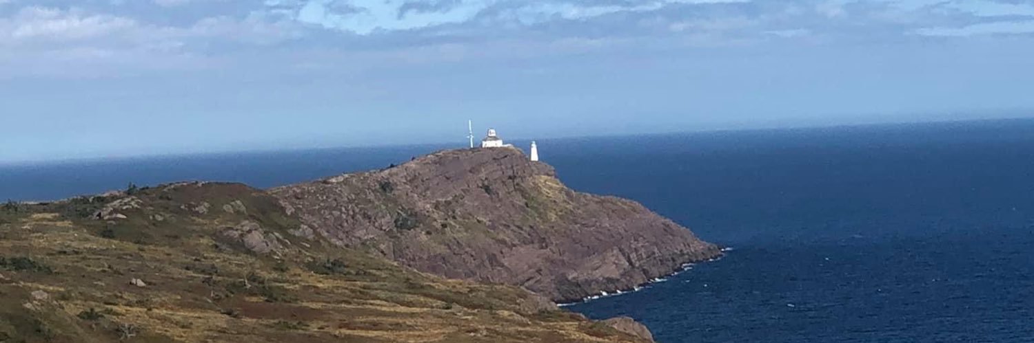 Michelle Bavis banner