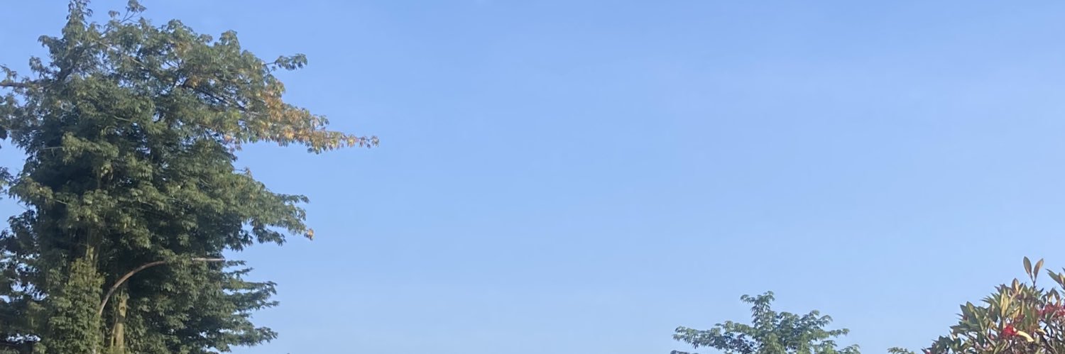 bergaysyeti's profile banner image