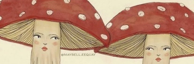 LiviaLobzun's profile banner image