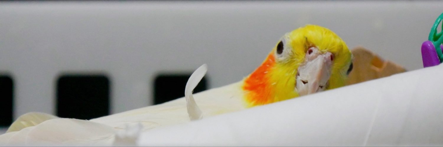 Aughtmore's profile banner image