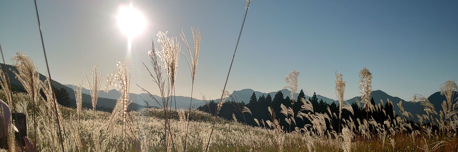 pyomitass's profile banner image
