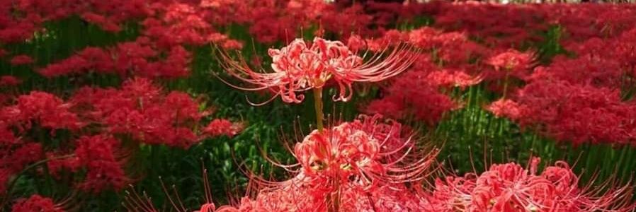 ながともユウ⇄永友優🐾 banner